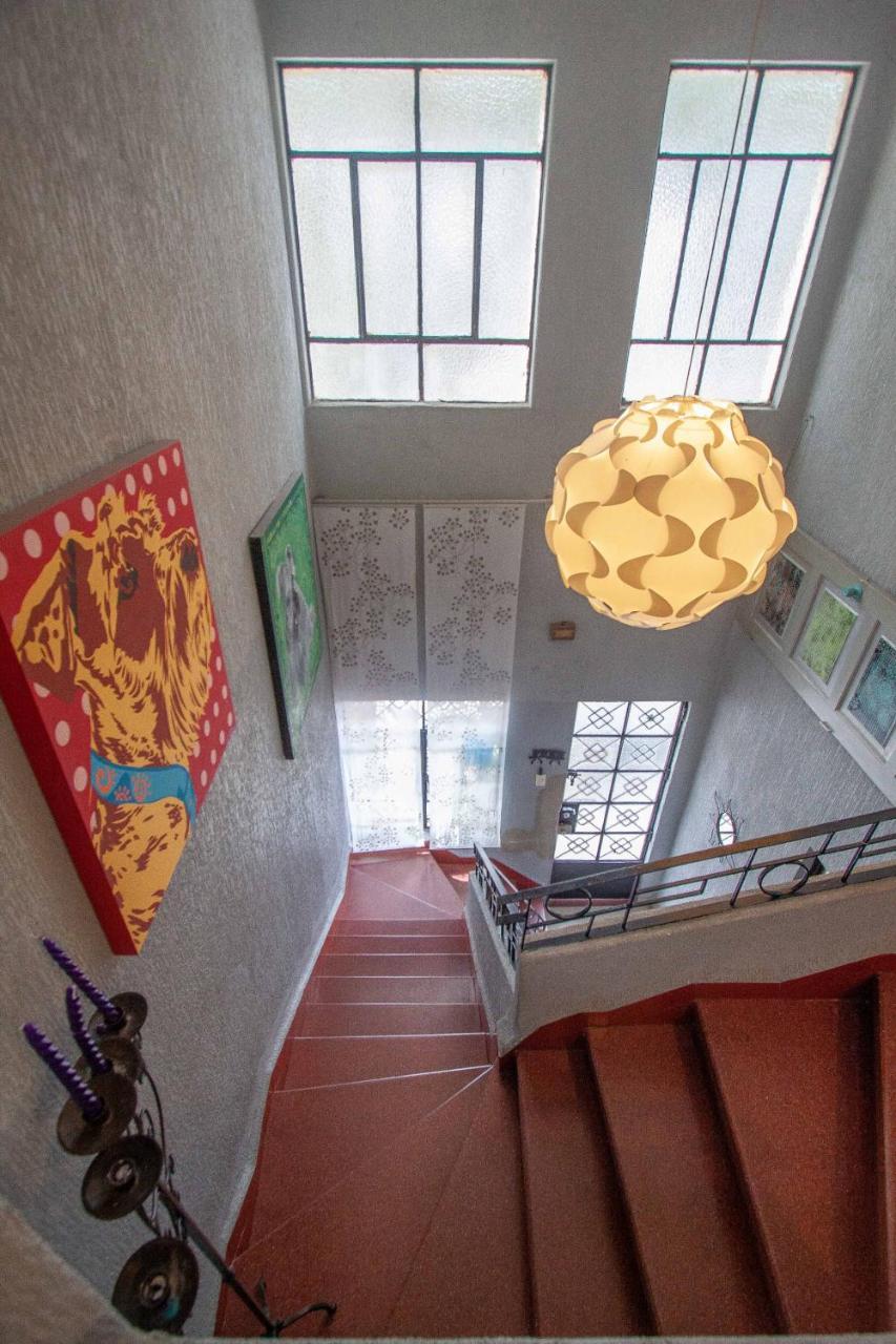 Condechi B And B Mexikóváros Kültér fotó